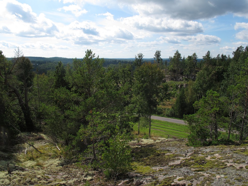 View from the rock. So much landscape, so much green in Sweden. (by Ronny Errmann)