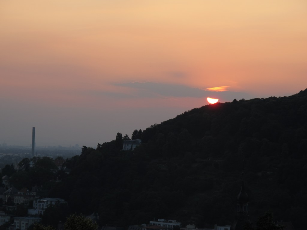 Heidelberg (Germany) 2013