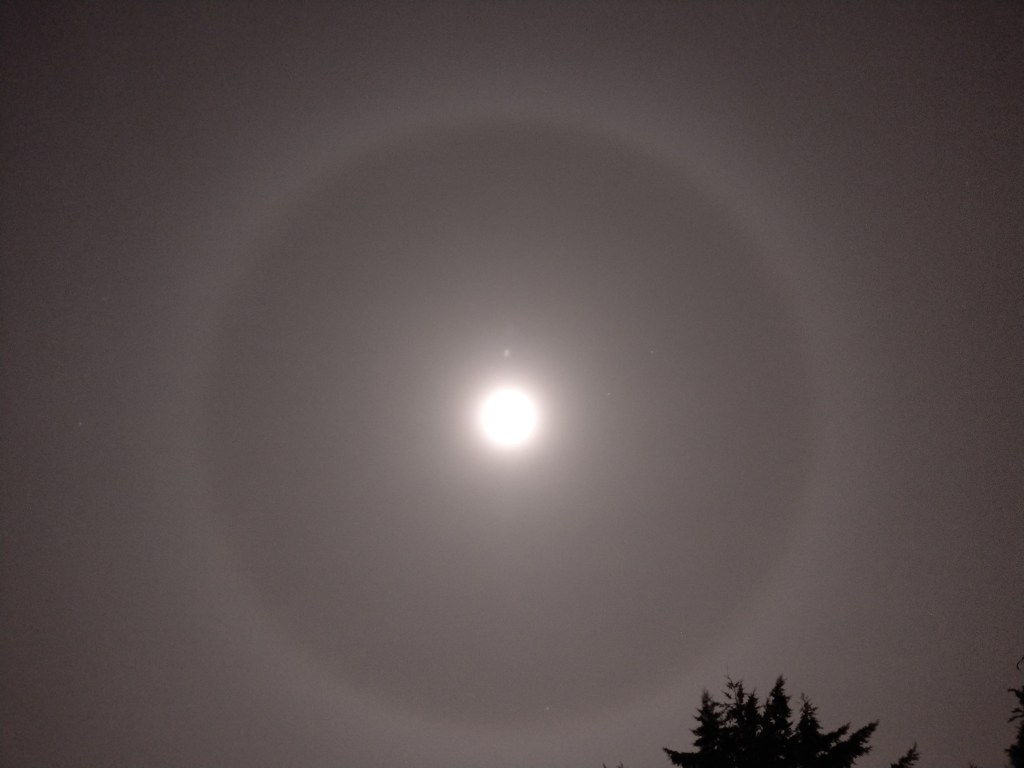 Moon halo 2022
