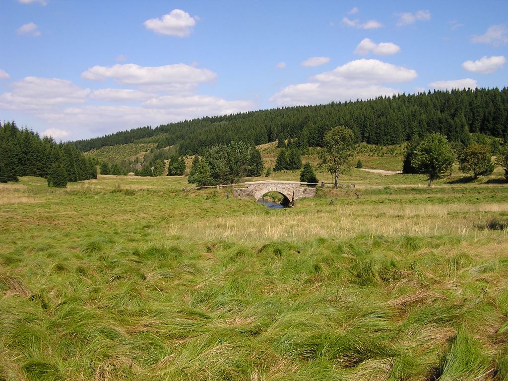 Landscape around the Schwarze Pockau, close to the border between Czech and Germany.