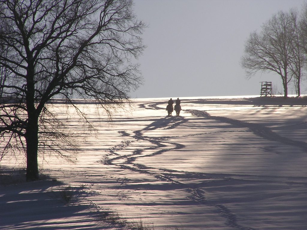 Ore mountains 2010