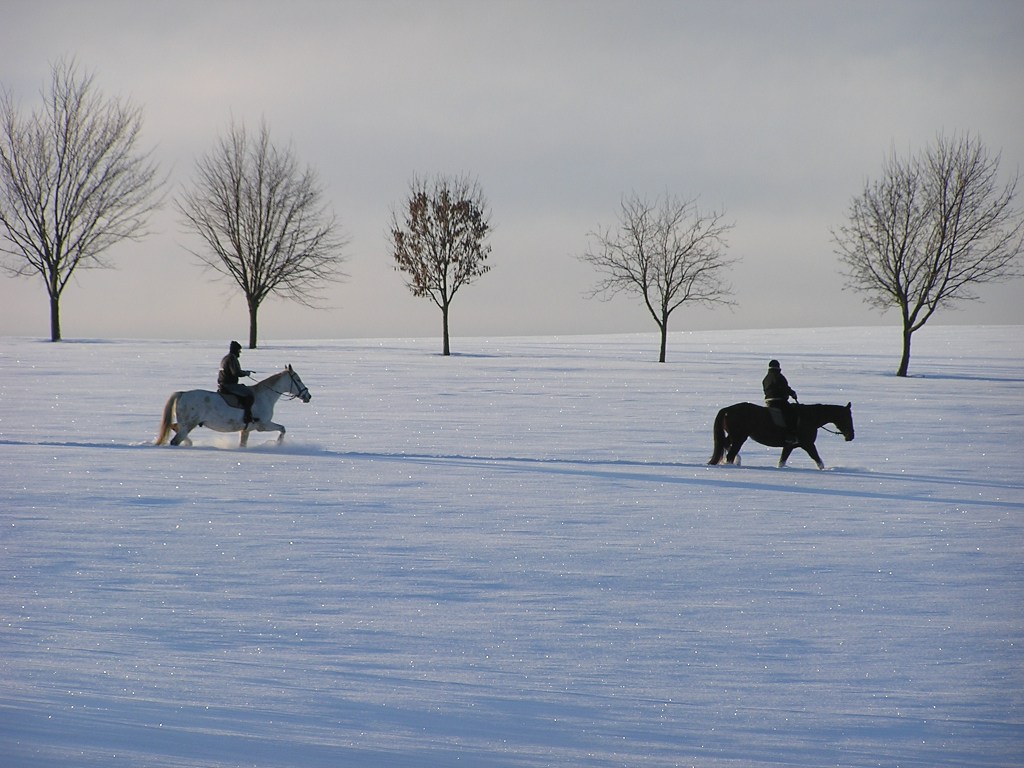 Riding through the snow, somewhere through the Ore Mountains, Germany (by Ronny Errmann)