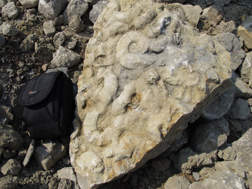 The life under our&nbsp;feet