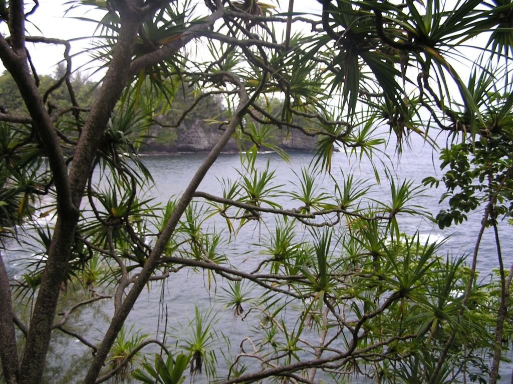 West Coast north of Hilo, Big Island, Hawaii
