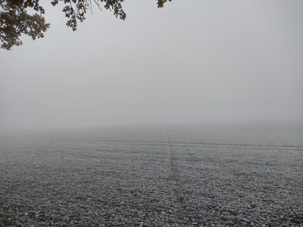 A path into the nowhere. In Great Britain, paths sometimes run across fields. And since the trail isn't used much, the crops on the trail are only slightly lower than next to it.