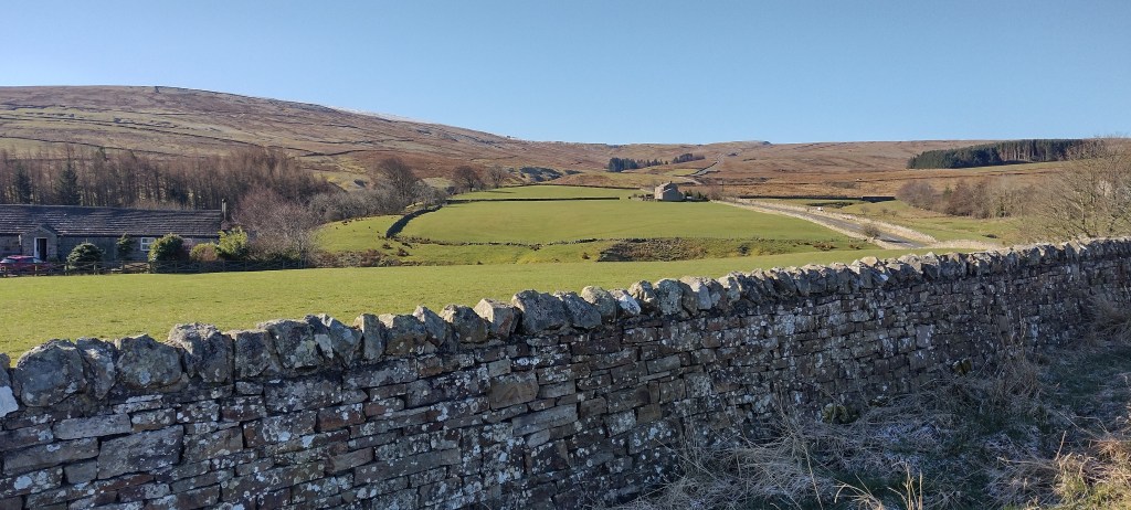 View from St. Johns Chapel to the next pass: Harthope Road. The change between the meadows and moor above are always nice to look at.